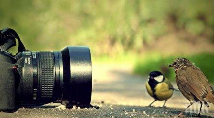 уникално супер бърза камера засне неврони