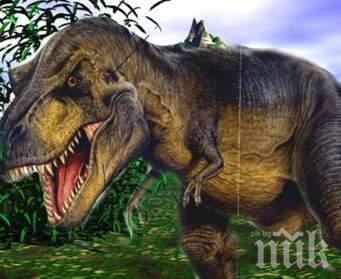 Нов вид динозаври, напомнящи Тиранозавър рекс, бе открит в Аржентина