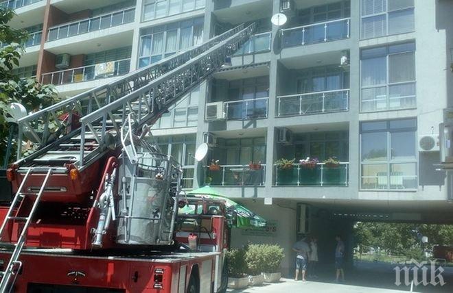 Първи подробности за драмата в Пловдив: Любопитна съседка открила трупа на младия мъж (СНИМКА)
