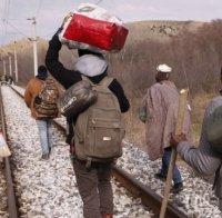 Орда мигранти дебне на границата между Сърбия и Унгария
