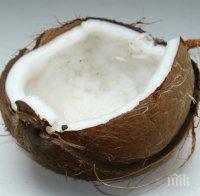 Знаеш ли за ползите от кокосовото масло? Полезна информация!


