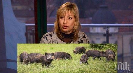 ПЪРВО В ПИК! 20 диви нерези налетяха на Мира Радева