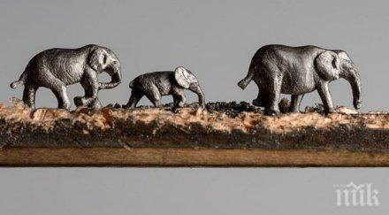 невероятно скулптор вае слонове моливи снимки