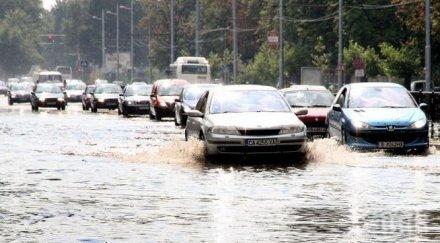 десетки изгубени номера коли потопа пловдив