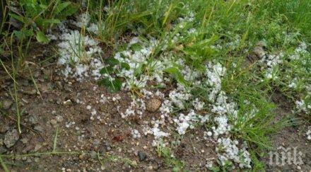 борят градушките ракети облак