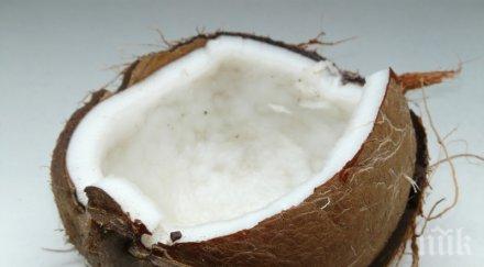 знаеш ползите кокосовото масло полезна информация