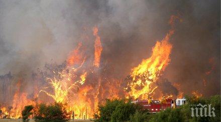 последните минути пожар пламна столичен квартал видео