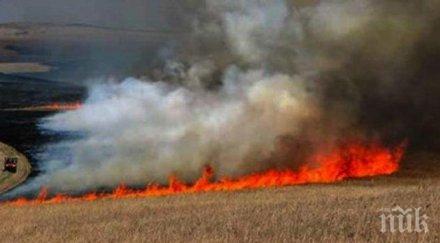 драсна клечката декара жито земеделец стоб овъглени дни жътвата имал неприятели