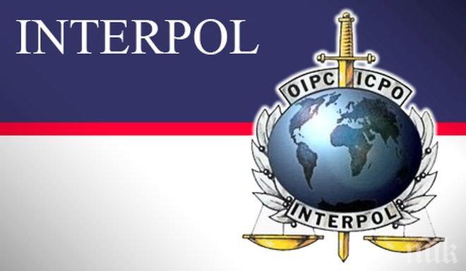 Интерпол ще участва в разследването на атентата в Ница

