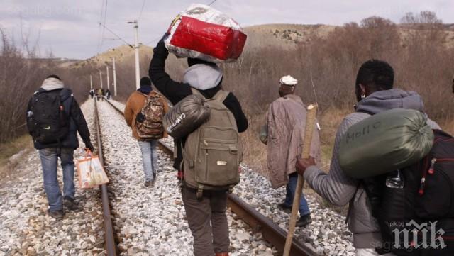 Орда мигранти дебне на границата между Сърбия и Унгария
