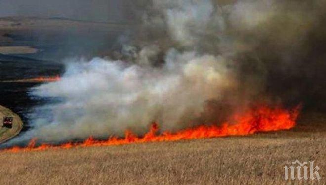 Кой драсна клечката!? 80 декара жито на земеделец от Стоб овъглени дни преди жътвата, имал неприятели