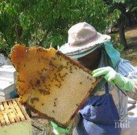 Пчелари блокираха пътя за Драма, полицията ги глоби