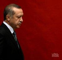 Стратфор: Репресиите на Ердоган ще отслабят турските въоръжени сили