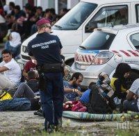 Бежанци ляха кръв в Унгария