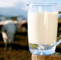 ЕС дава за млекопроизводителите още 500 млн. евро
