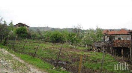 евтиния предлагат къща лев село дъбравите