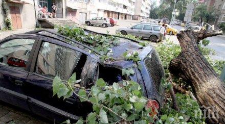 пострадалите село розино получат 325 лева еднократна помощ