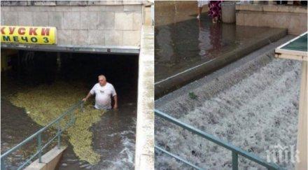 бедствие пловдивско цяло село вода