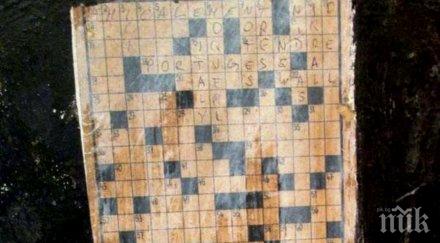 трагикомично годишна баба повреди шедьовър 116 000 долара помисли обикновена кръстословица