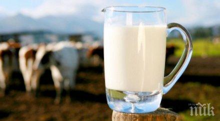 дава млекопроизводителите 500 млн евро