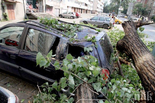 Пострадалите в село Розино ще получат по 325 лева еднократна помощ