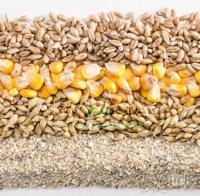 Русия ограничи вноса на фуражи от Аржентина, Бразилия, Германия и Китай, заради ГМО