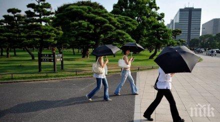 япония бори жегата