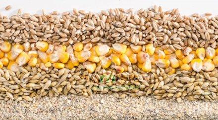 русия ограничи вноса фуражи аржентина бразилия германия китай заради гмо