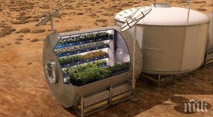 уфолози сензационно кипи живот марс езера зелена растителност