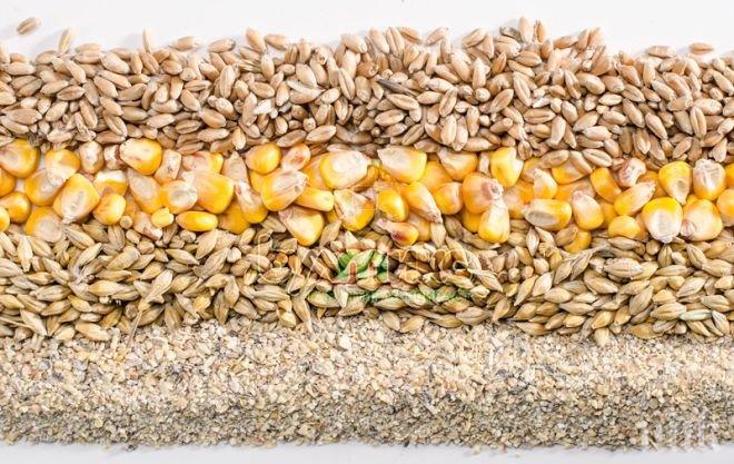 Русия ограничи вноса на фуражи от Аржентина, Бразилия, Германия и Китай, заради ГМО