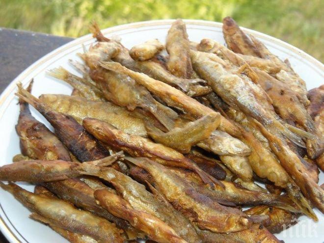 СКАНДАЛ! Рибата по морето не е прясна и е скъпа