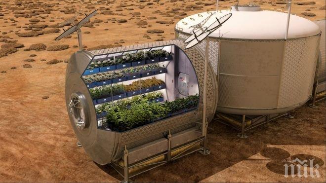 Уфолози сензационно: Кипи от живот на Марс, има езера и зелена растителност!