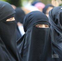СКАНДАЛНО! Саудитска Арабия обяви: Жените са млекопитаещи и затова имат същите права като животните