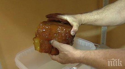 съкровище откриха огромен къс кехлибар десетки милиони години снимка видео