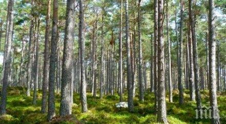 екшън бургас закопчаха опасни въоръжени бракониери