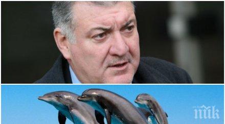 комисар георги костов делфините черно море починали удавяне
