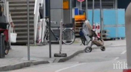 британското външно министерство всички британски граждани изпълняват указанията