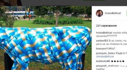 изчезна профила камата инстаграм заради синята крава левскарите заляха обиди