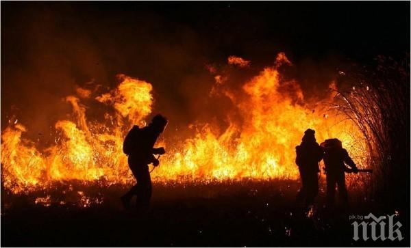 ИЗВЪНРЕДНО! Далечният Изток гори! Пожари обхванаха 39,3 хектара в Русия