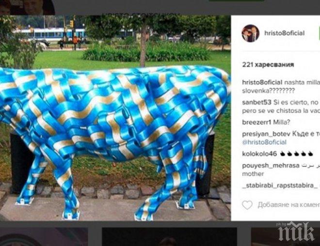 Изчезна профила на Камата в Инстаграм заради синята крава! Левскарите го заляха с обиди