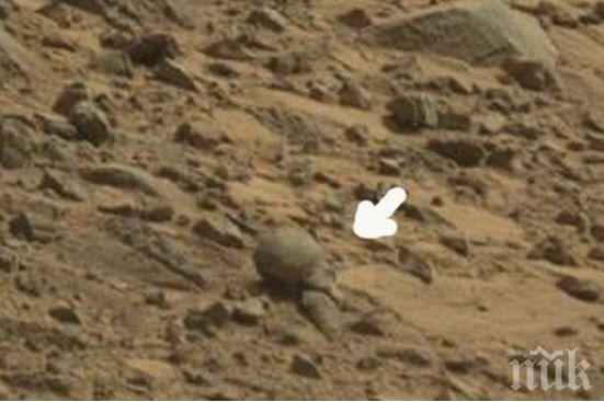 СЕНЗАЦИЯ! Откриха скелет на хуманоид на Марс (СНИМКИ)