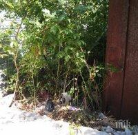 Екобомба цъка в Пловдив 