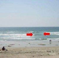 Отварянето на Турция трябва да свали цените на почивките в другите дестинации