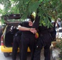 Спецакция край Бургас! Спипаха Георги Скейтъра с 20 стръка марихуана