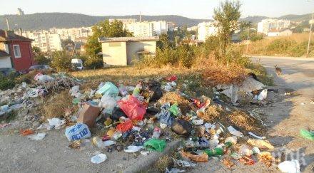 скандал чистят шумен скъпо отколкото лондон цените безбожни градът тъне боклук снимки документи