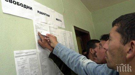 безработните учат английски промоция