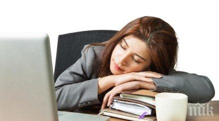 свежарки следобедната дрямка подобрява помненето