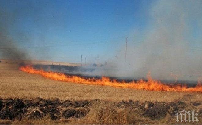 ОТ ПОСЛЕДНИТЕ МИНУТИ! Огромен пожар гори край Бургас
