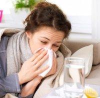 интернет отслабва имунитета докарва хрема