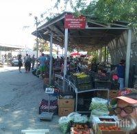 Масови проверки на плодове и зеленчуци на борсата в Първенец, търговец отнесе 3 бона глоба